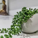 アパート Dream *