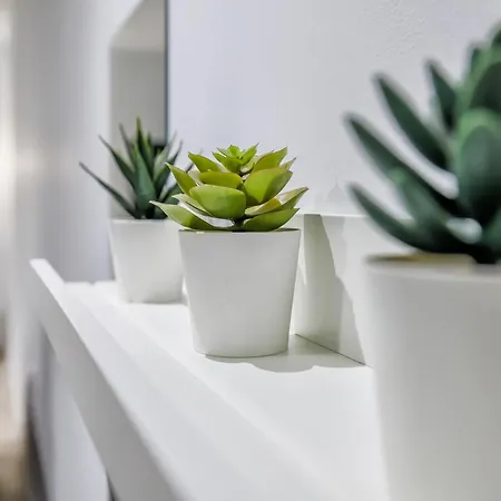 Dream & 2 코르도바