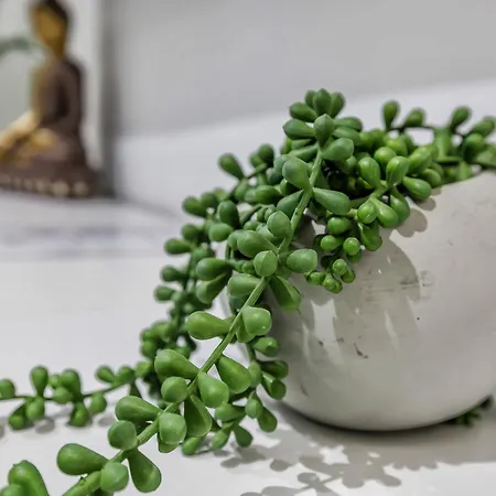 아파트 Dream & 2 *