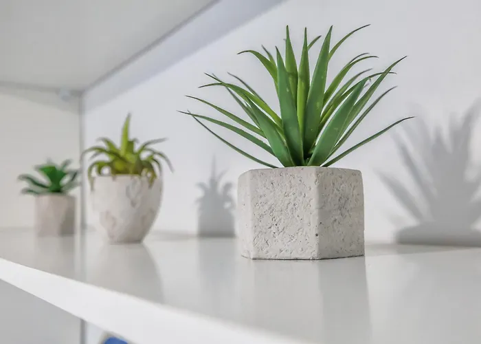 Апартаменты Dream